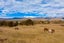 4023 Northbank Road, Blenheim - Carousel 27