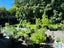 66 Salamanca Road, Sunnynook, Auckland - Carousel 17