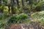 7 Belfast Street, Hillsborough, Auckland - Carousel 22