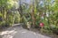 133 Konini Road, Titirangi, Auckland - Carousel 23