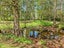 587C Crane Road, Kauri, Kamo - Carousel 18