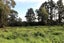 4486 Karamea HWY, Karamea, Buller  - Carousel 16