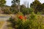 724 Norfolk Road, Upper Plain - Carousel 12