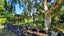 29 Berwick Road, Outram - Carousel 21