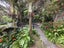 10744 State Highway 35, WAIHAU BAY, TE KAHA - Carousel 26