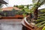 172A Park Road, West End, Palmerston North - Carousel 20