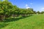 721 Thornton Road, Thornton, Whakatane - Carousel 6