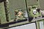 125 Old Railway Road, Kumeu - Carousel 3