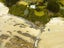 523 The Nuggets Road, Ahuriri Flat, Kaka Point - Carousel 27