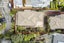 26C Alberon Street, Parnell, Auckland - Carousel 2