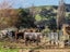 80541 Masterton Road, Woodville, Woodville - Carousel 11