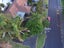 1 Colchester Avenue, Glendowie, Auckland - Carousel 2