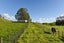 1283 Waikite Valley Road, Rotorua - Carousel 25