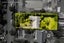 53 Ripon Crescent, Meadowbank, Auckland - Carousel 23