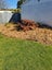 86 Venus Street, Georgetown, Invercargill - Carousel 13