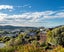 82 Tukuka Street, Nelson South, Nelson - Carousel 22