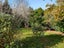 800 Bickerstaffe Road, Maungaturoto - Carousel 18