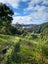 5 Wilson Way, HIHI, MANGONUI - Carousel 2