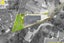 29F Bell Road, Beachlands, Auckland - Carousel 4