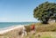 41 Karewa Parade, Papamoa Beach, Papamoa - Carousel 27
