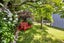 159 Regan Street, Stratford, Stratford - Carousel 16