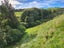 144 Ackworth Road, Lepperton, New Plymouth - Carousel 21