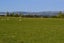 0 Lambton Street, Maheno, Oamaru - Carousel 4