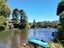 14 MacPherson Street, Meadowbank, Auckland - Carousel 26