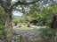 717 Taylorville Road, Taylorville, Greymouth - Carousel 46