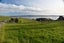 100 Wairoa Gorge Road, Wairoa Valley - Carousel 19