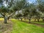 265A Hot Springs Road, Tahawai, Katikati - Carousel 35