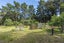37 Hadfield Road, Peka Peka - Carousel 41