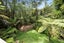 54C Pleasant Road, Glen Eden, Auckland - Carousel 7