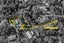 293A Titirangi Road, Titirangi, Auckland - Carousel 26