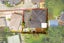71A Stottholm Road, Titirangi, Auckland - Carousel 15