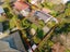 143A Ruamahanga Crescent, Terrace End, Palmerston North - Carousel 2
