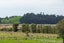 68 Church Street, Katikati, Katikati - Carousel 25