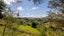 10 Hobson Terrace, Onetangi, Waiheke Island - Carousel 21