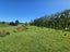 9 Buckley Road, Shannon, Palmerston North - Carousel 6