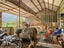 573 State Highway 1, Blenheim - Carousel 46