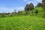 82 Mill Street, Owhango - Carousel 30