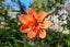 197 Mary Street, Richmond, Invercargill - Carousel 37