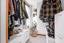 208 Nixon Street, Hamilton East, Hamilton - Carousel 13