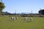 85 Curries Road, Christchurch - Carousel 15