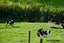 139B Golden Valley Road, Waihi, Waihi - Carousel 27