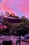 731 Swanson Road, Swanson, Auckland - Carousel 16