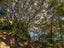 295A Spencer Road, Lake Tarawera, Rotorua - Carousel 12