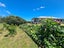 208 McQuoid Road, Preece Point, Coromandel - Carousel 19