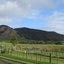 95 Lane Road, Nuhaka - Carousel 14