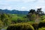 193 Capamagian Drive, Athenree, Katikati - Carousel 5